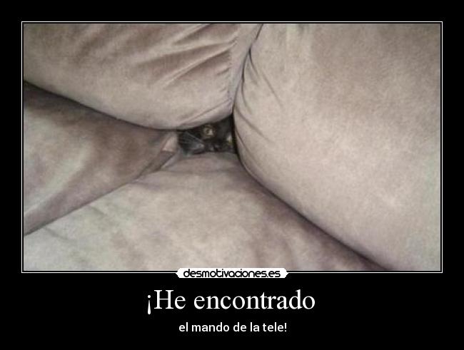 ¡He encontrado - el mando de la tele!
