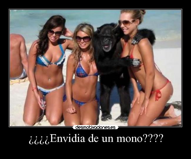 carteles  desmotivaciones