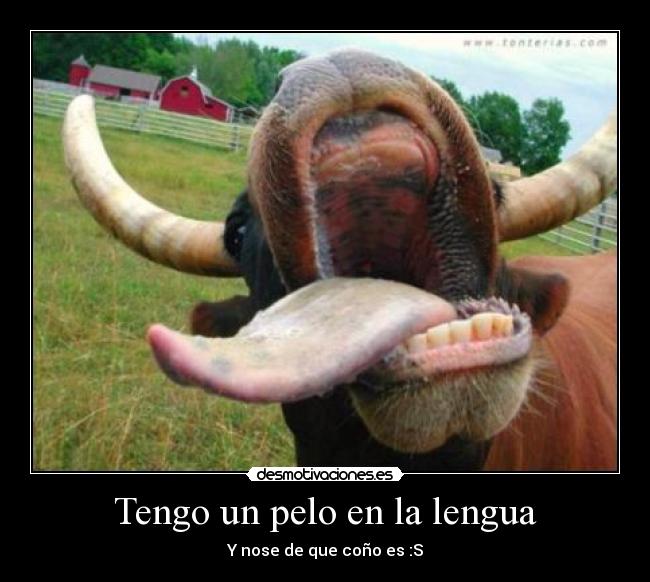 Tengo un pelo en la lengua - Y nose de que coño es :S