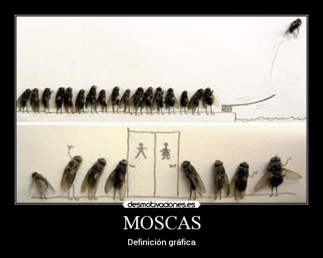 MOSCAS - Definición gráfica