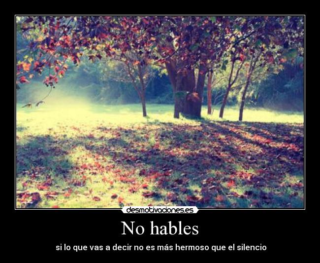 No hables - 