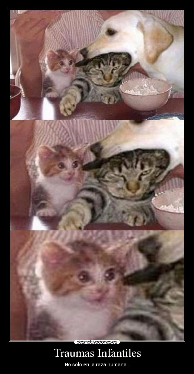 Traumas Infantiles - No solo en la raza humana...