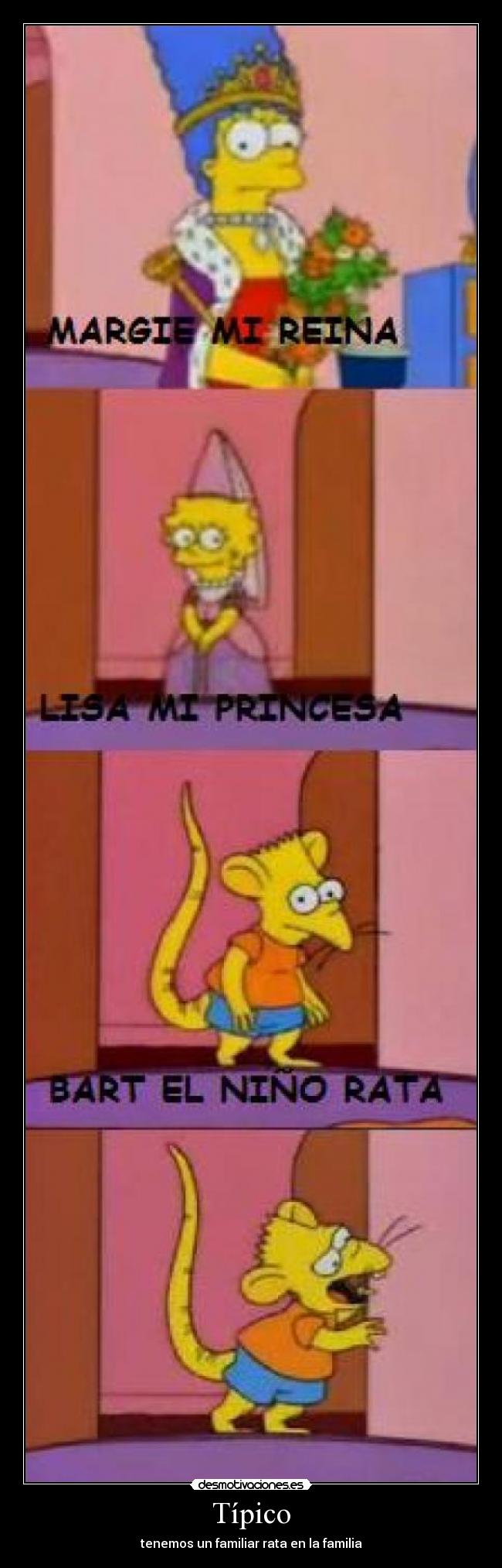 Típico - tenemos un familiar rata en la familia