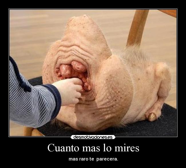 Cuanto mas lo mires -