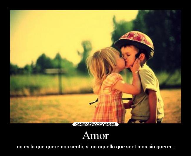 Amor -