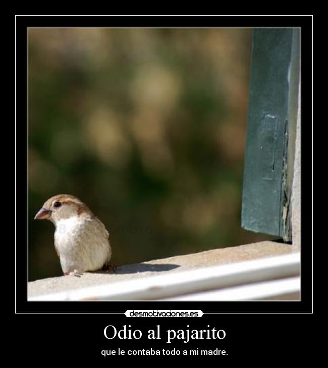 Odio al pajarito -