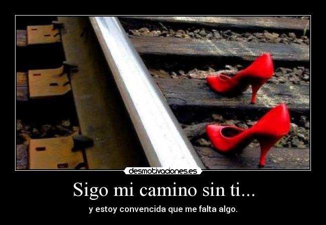 Sigo mi camino sin ti... - y estoy convencida que me falta algo.