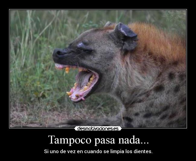 Tampoco pasa nada... - 