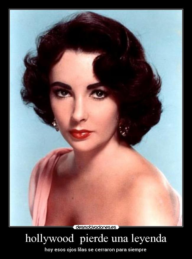 carteles zorrita desmotivaciones