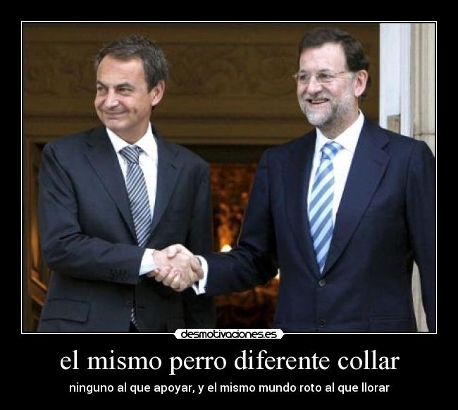 el mismo perro diferente collar -