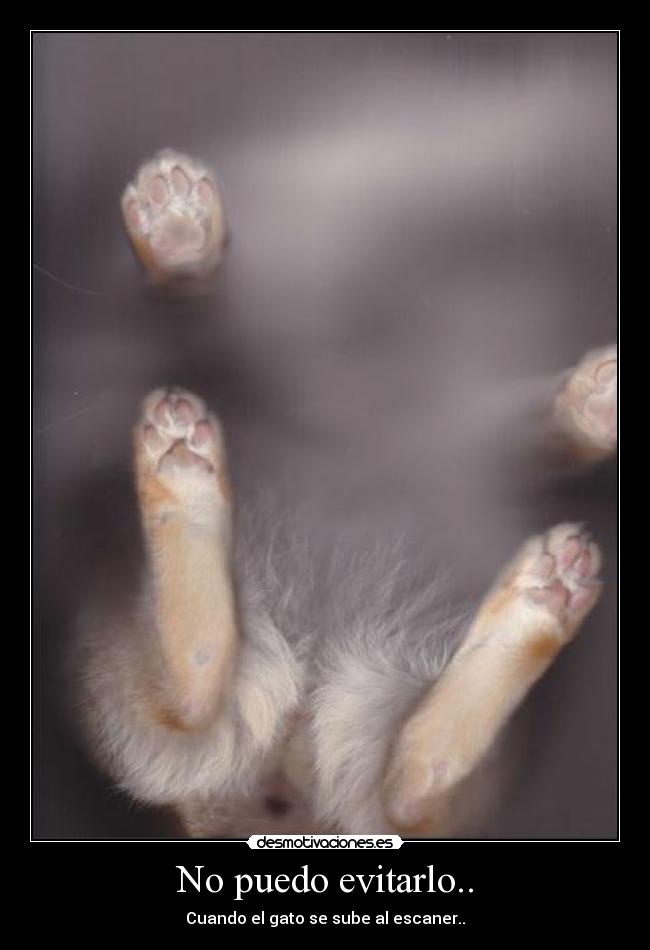 carteles puedo evitarlo desmotivaciones