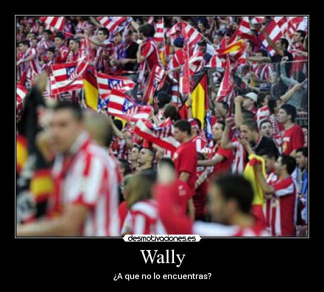 Wally -