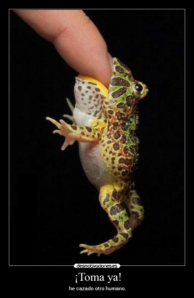 ¡Toma ya! -