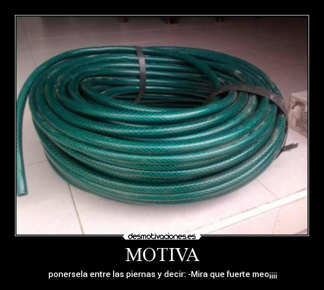 MOTIVA - 