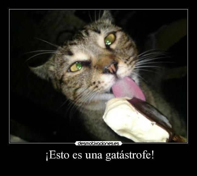 ¡Esto es una gatástrofe! -