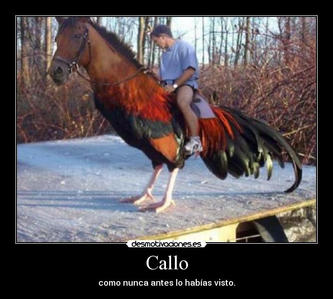 Callo - 