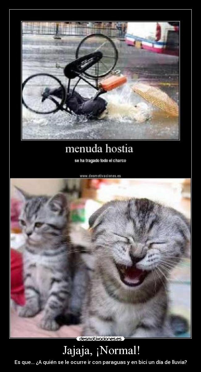 Jajaja, ¡Normal! -