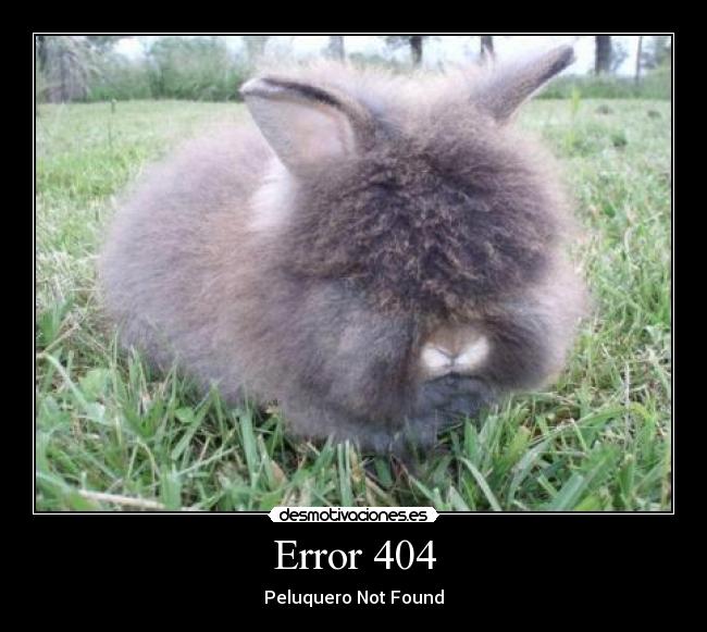Error 404 - 