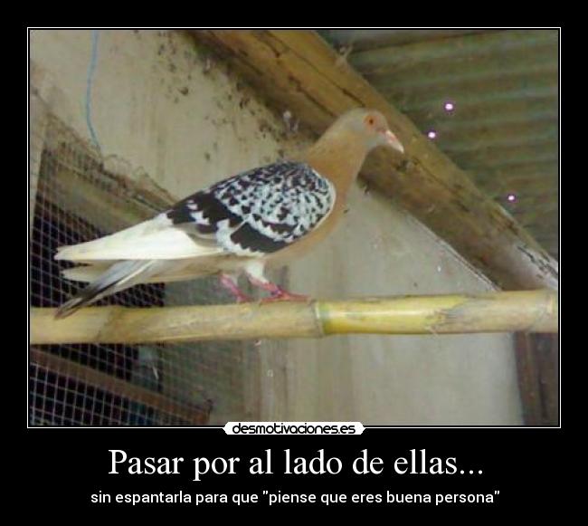 Pasar por al lado de ellas... -