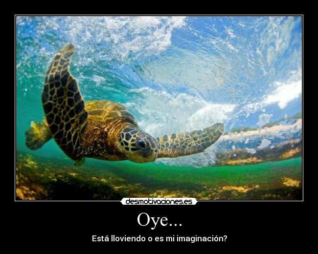 Oye... -