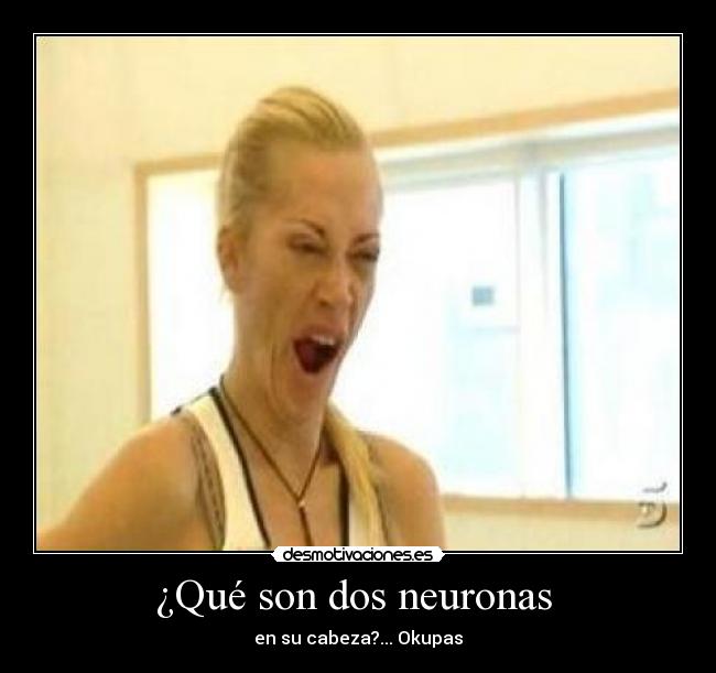 ¿Qué son dos neuronas - en su cabeza?... Okupas