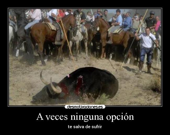 A veces ninguna opción -