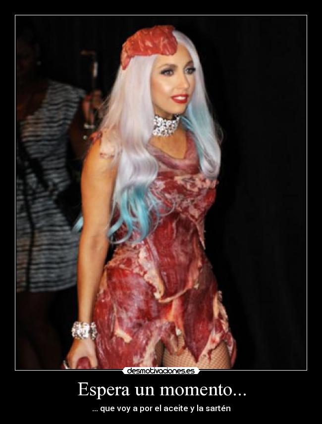 carteles starlix lady gaga desmotivaciones