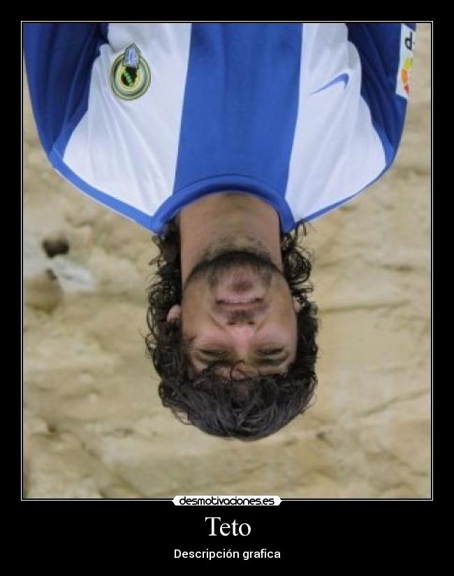 Teto - Descripción grafica