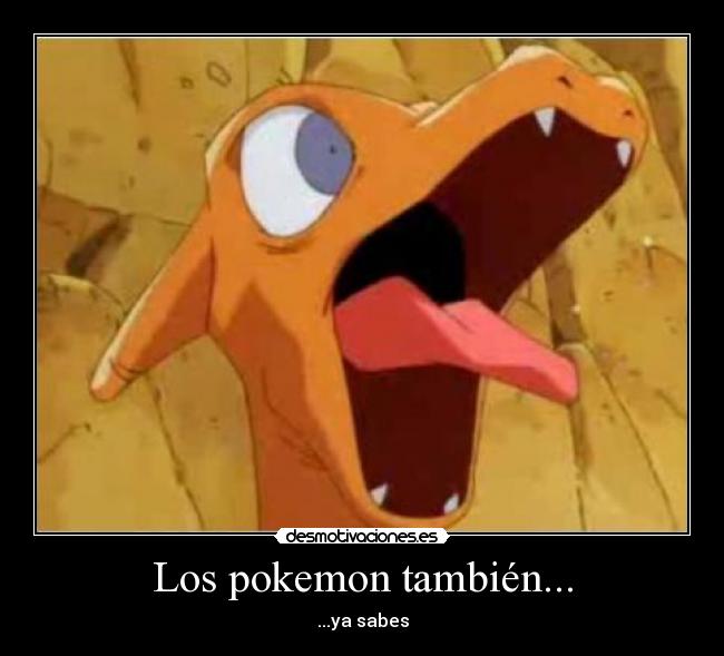 Los pokemon también... - 