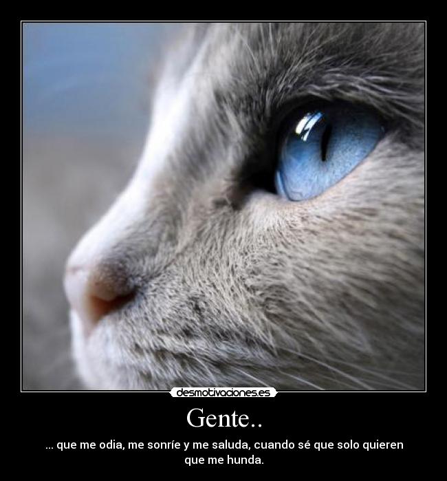 Gente.. - 