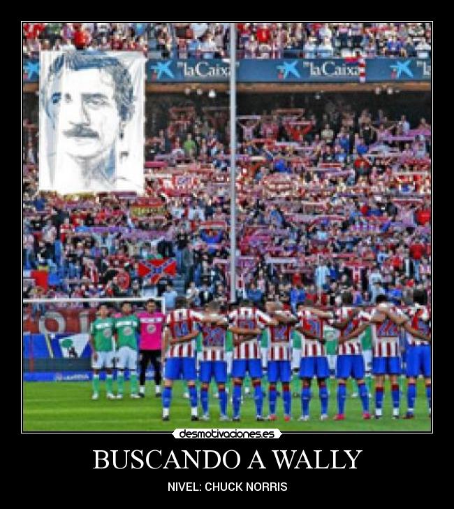 BUSCANDO A WALLY -
