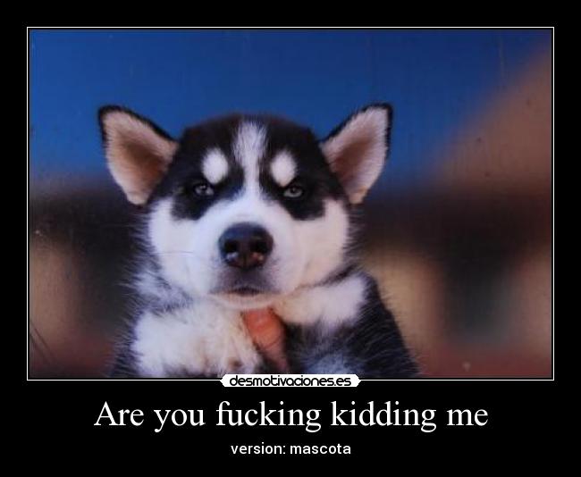 Are you fucking kidding me - 