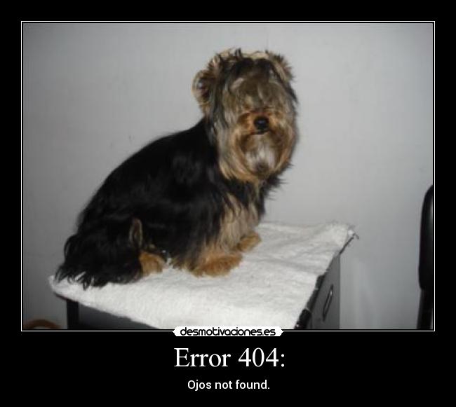 Error 404: - Ojos not found.