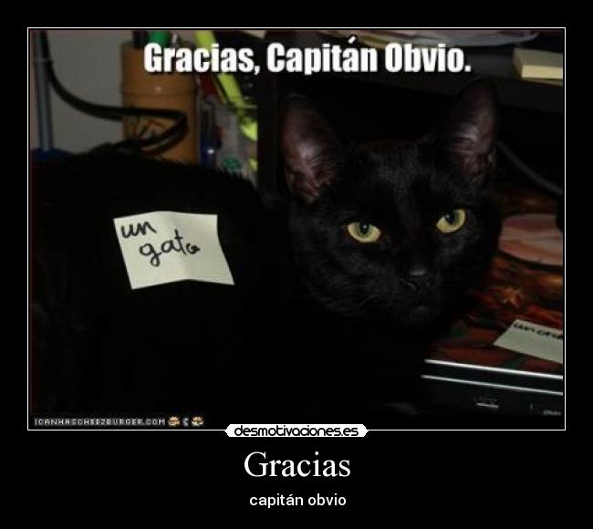 Gracias - capitán obvio
