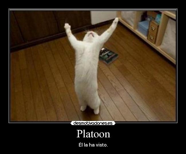 Platoon - Él la ha visto.