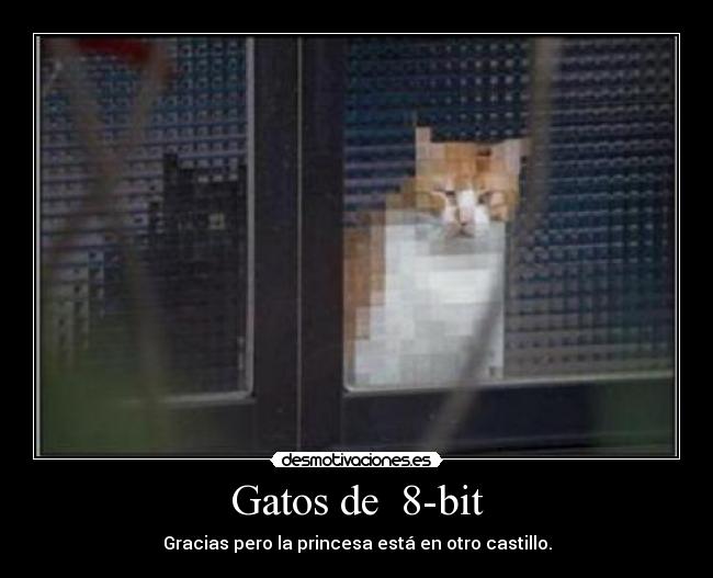 Gatos de 8-bit - Gracias pero la princesa está en otro castillo.