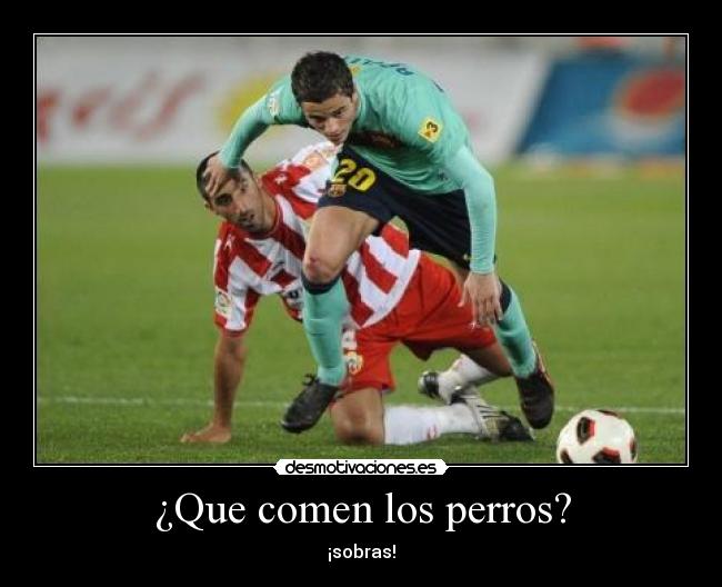 ¿Que comen los perros? - ¡sobras!