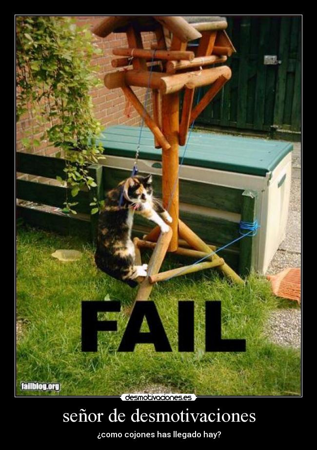 señor de desmotivaciones - ¿como cojones has llegado hay?