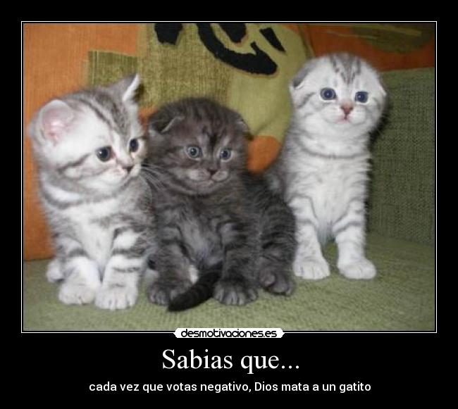 Sabias que... -