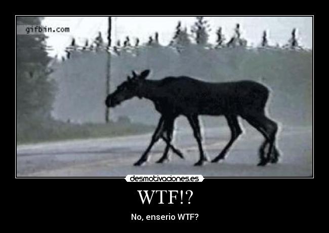 WTF!? - No, enserio WTF?