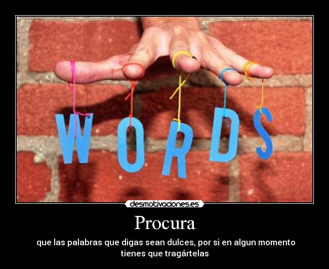 Procura -
