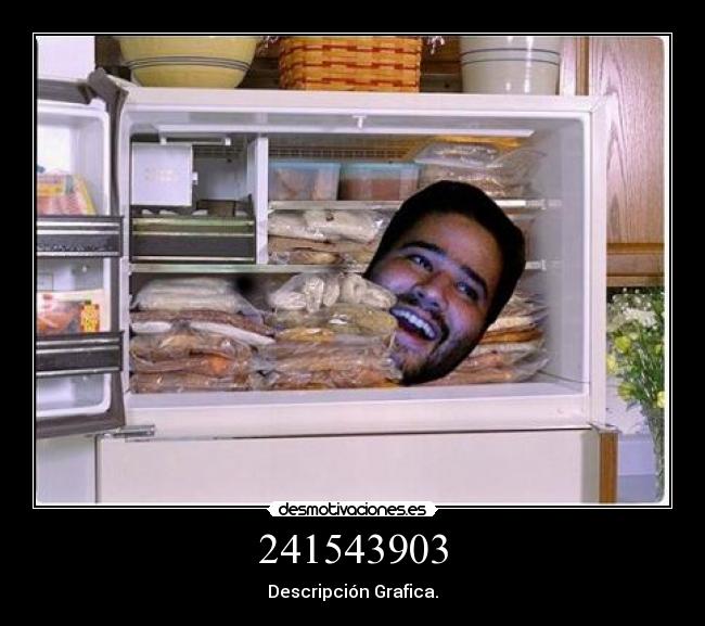 241543903 - Descripción Grafica.