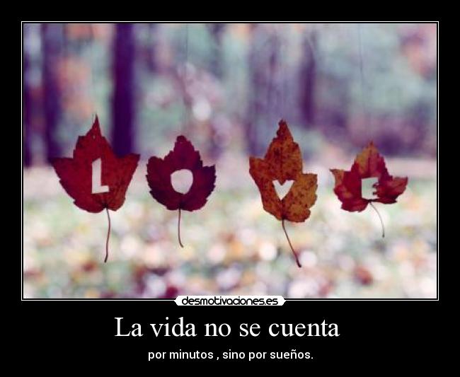 La vida no se cuenta  - 