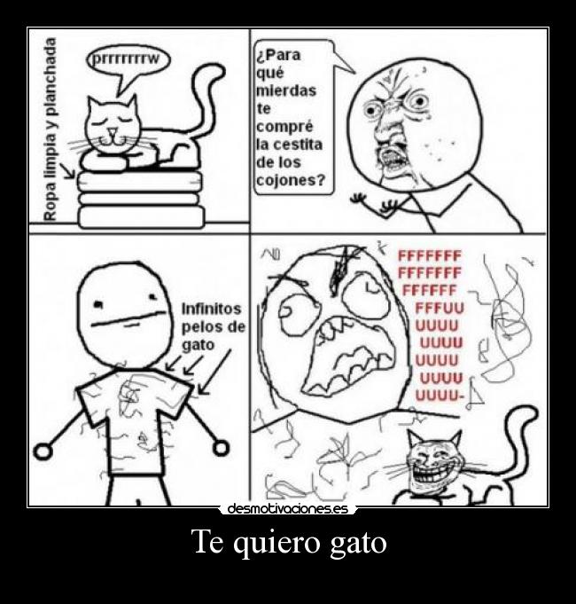 Te quiero gato - 