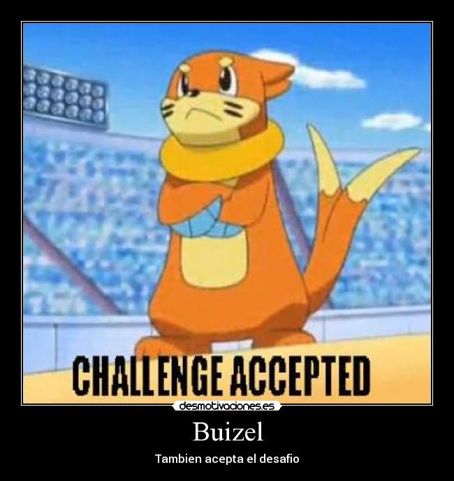 Buizel - 