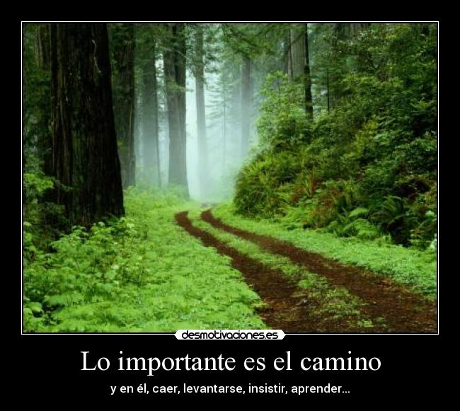 Lo importante es el camino - 