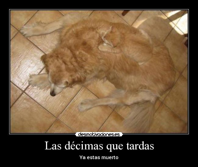 Las décimas que tardas - Ya estas muerto