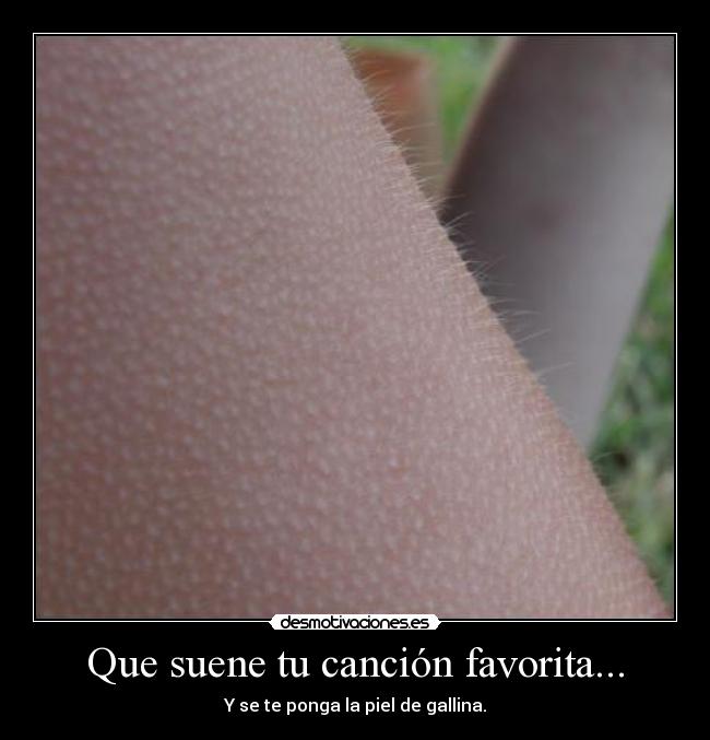 Que suene tu canción favorita... -