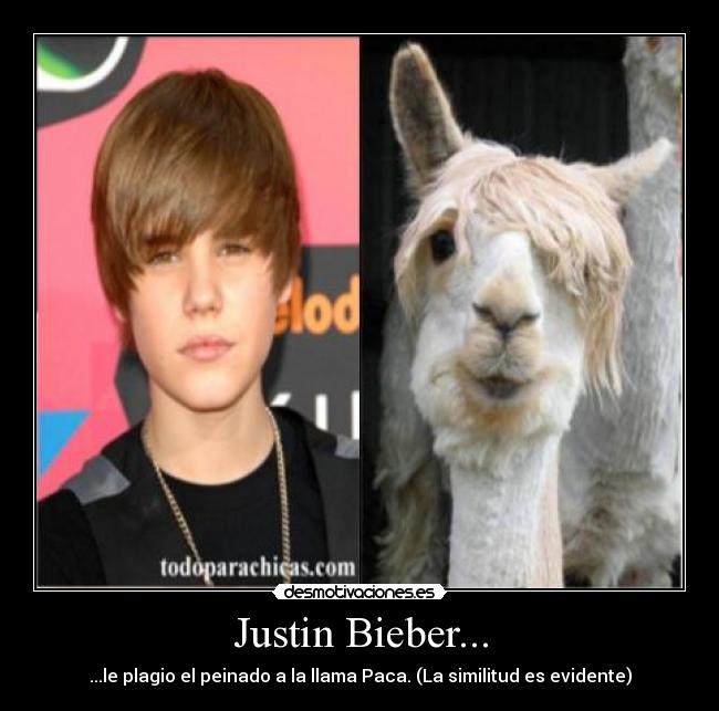 Justin Bieber... -