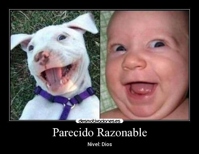 Parecido Razonable -